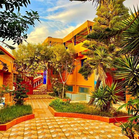 Bed and Breakfast Surf & Salsa Ocean House Tamraght Exterior foto