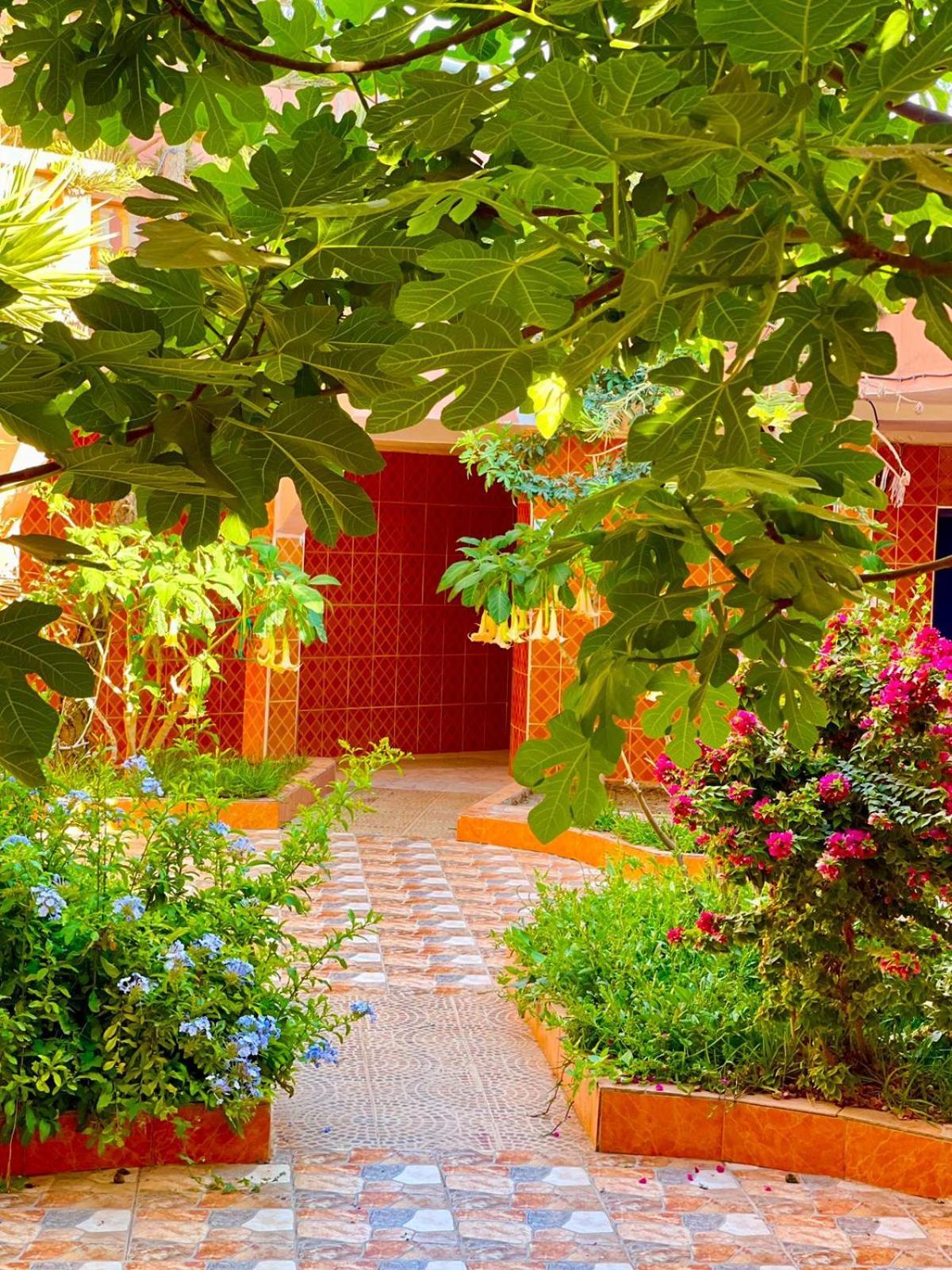 Bed and Breakfast Surf & Salsa Ocean House Tamraght Exterior foto