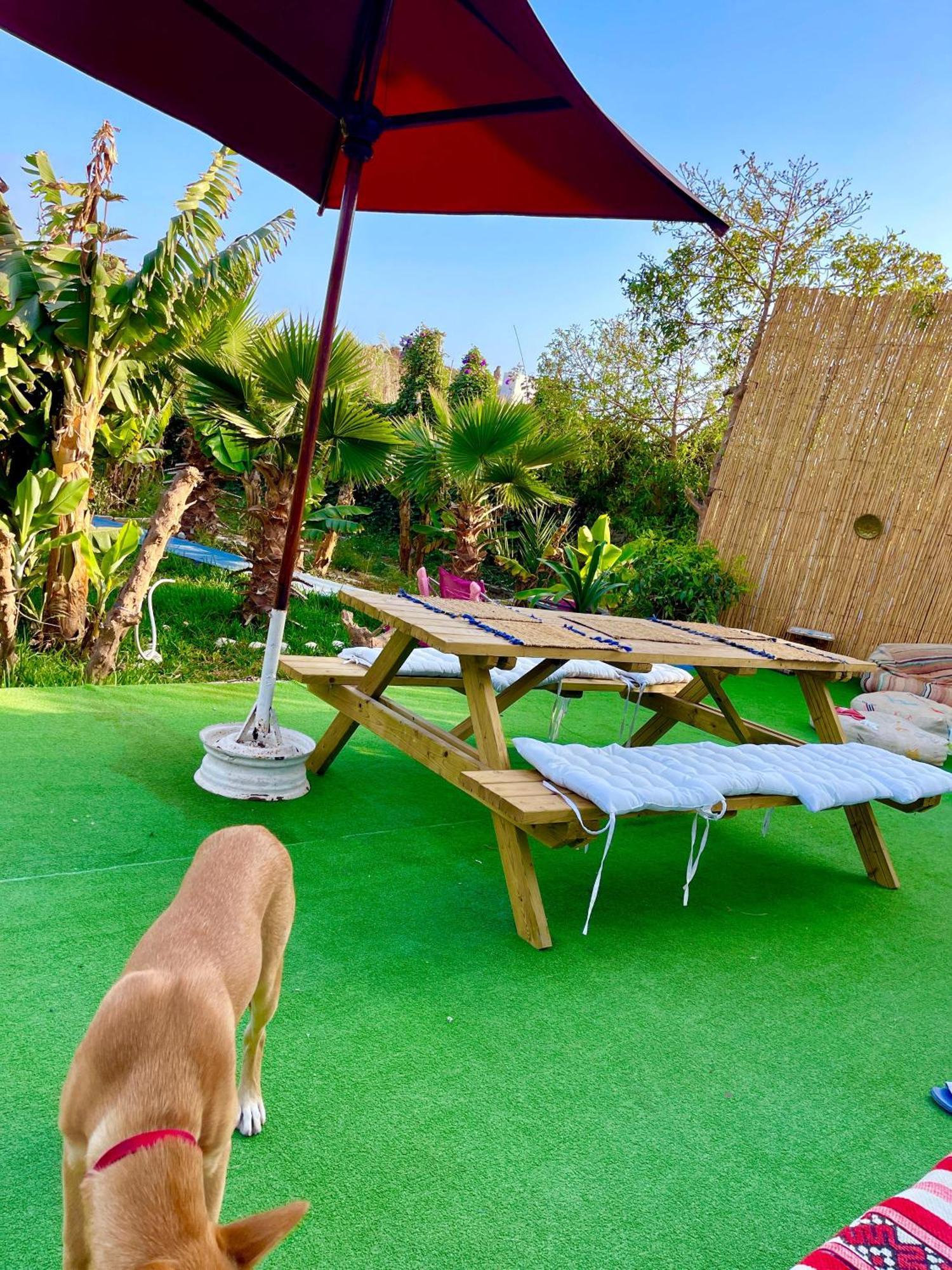 Bed and Breakfast Surf & Salsa Ocean House Tamraght Exterior foto